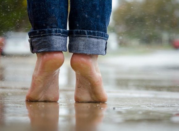 reflexo printemps chris lencou reflexo printemps chris lencou