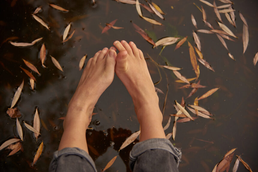 AUTOMNE-REFLEXOLOGIE-PREVENTIONwater. Yellow autumn leaves float in the lake. AUTOMNE-REFLEXOLOGIE-PREVENTION